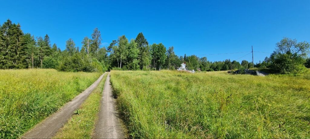 Kesäinen maalaismaisema