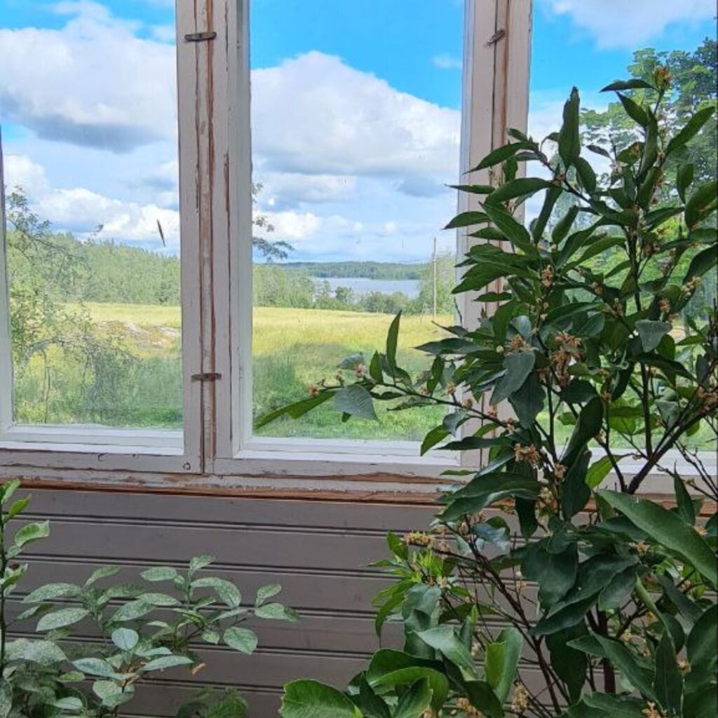 Kuvassa merinäköala sitruunoiden täyttämästä talvipuutarhasta. 