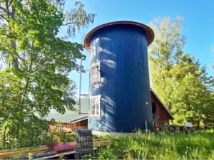 Pikkutammen majoitustorni aamuauringossa