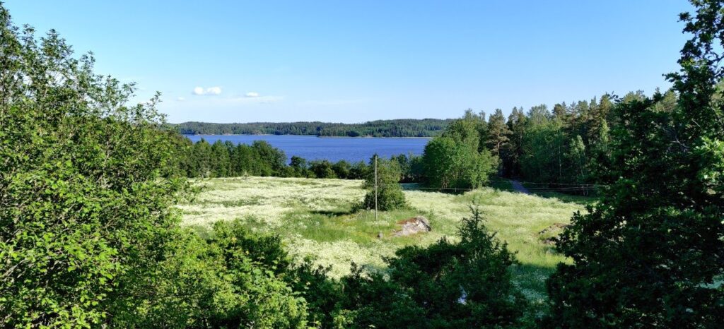 Maisema kesäiseltä pellolta merelle